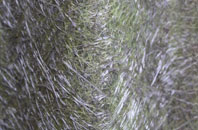 Aultbea fibreglass roof work